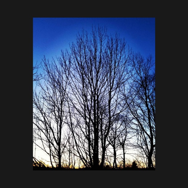 Tree Silhouette by ARTWORKandBEYOND