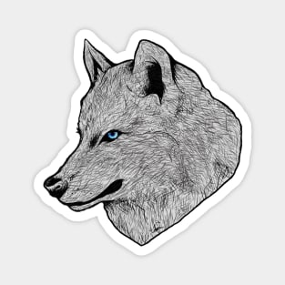 Blue Eyed Wolf Magnet