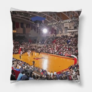 The Palestra Pillow