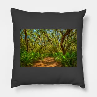 Cumberland Island National Seashore Pillow