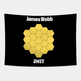 The James Webb Space Telescope Tapestry