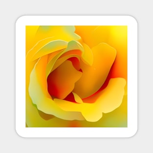 Yellow Rose Macro Magnet