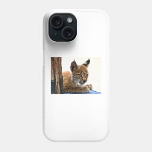 Baby Lynx Phone Case