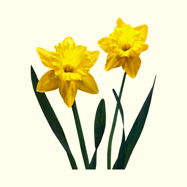 Yellow Daffodil Pair by SusanSavad