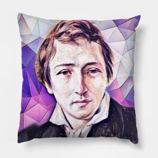 Heinrich Heine Pink Portrait | Heinrich Heine Artwork 8 Pillow