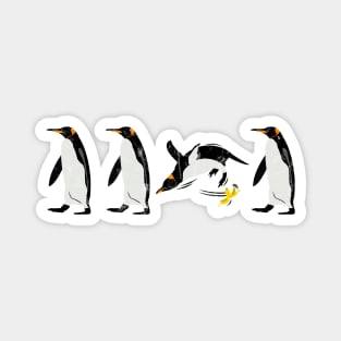 Penguins & Bananas Magnet