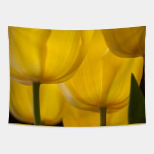 Yellow Tulip Tapestry