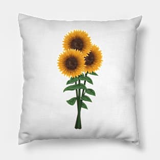 Sun Flower Pillow