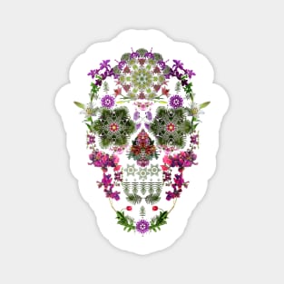 Dream Skull Magnet