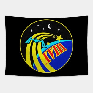 Black Panther Art - NASA Space Badge 79 Tapestry