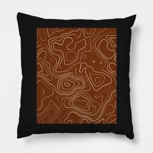 Terracotta Abstract Topography  Aeasthetic  Pattern Pillow