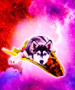 Outer Space Galaxy Dog Riding Taco Magnet