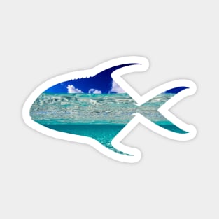 POMPANO Magnet