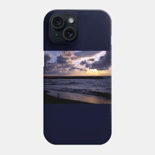 Seagull at lakeshore Phone Case