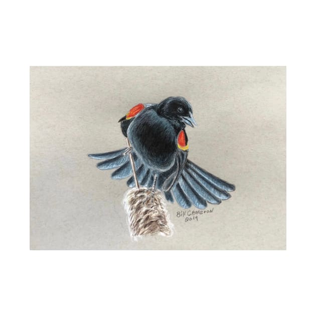 Blackbird by Bill Cameron Fine Art