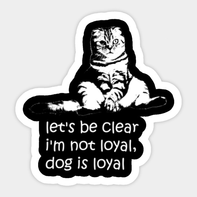 Loyal Cat Cats Are Not Loyal Sticker Teepublic