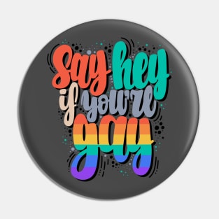 Say hey if you are gay Pin