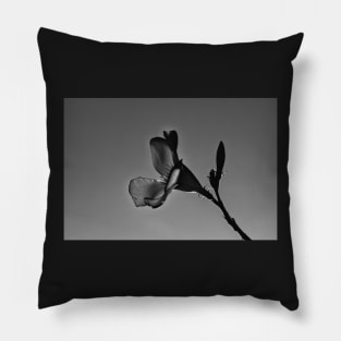 Oleander Flower Silhouette Pillow