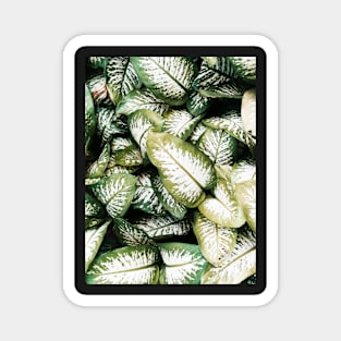 Leaves, Tropical leaves, Leaf, Modern art, Wall art, Print, Minimalistic, Modern, Scandinavian print Magnet