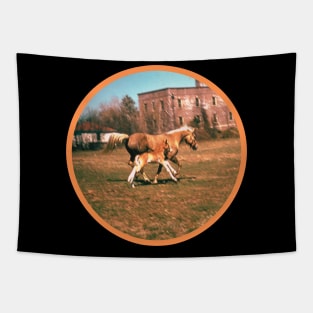 Mare and Foal Tapestry