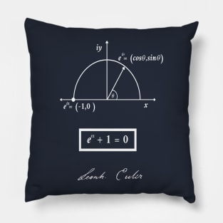 Euler  beautiful theorema maths Pillow