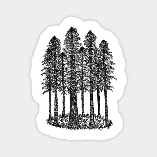 Cathedral Ring Sketch (Coastal Redwoods) Magnet