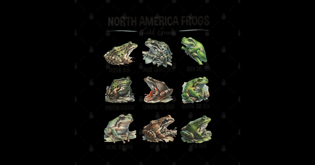 North America Frogs Field Guide - Frog Species - Sticker | TeePublic