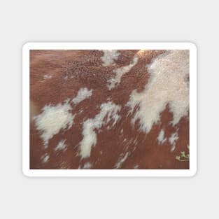 Cow Hide Magnet