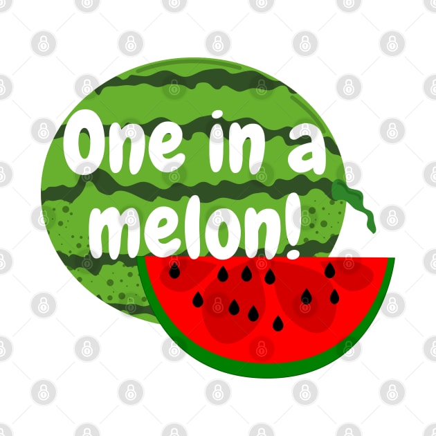 One in a Melon Watermelon by Susy Maldonado illustrations