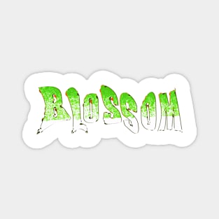 Blossom Magnet