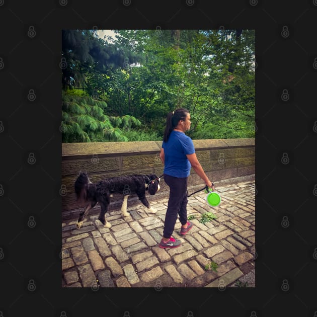 Central Park Dog Walking Manhattan New York City by eleonoraingrid