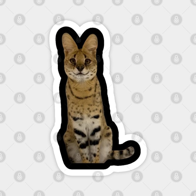 Sogga My Beloved Serval Meme Cat Meme Magnet by BobaPenguin