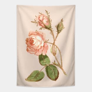 Pink rose flower Vintage Botanical Print Tapestry