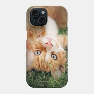 orange kitten lying upside down Phone Case