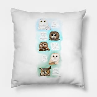 Owl-ways Adorable Pillow