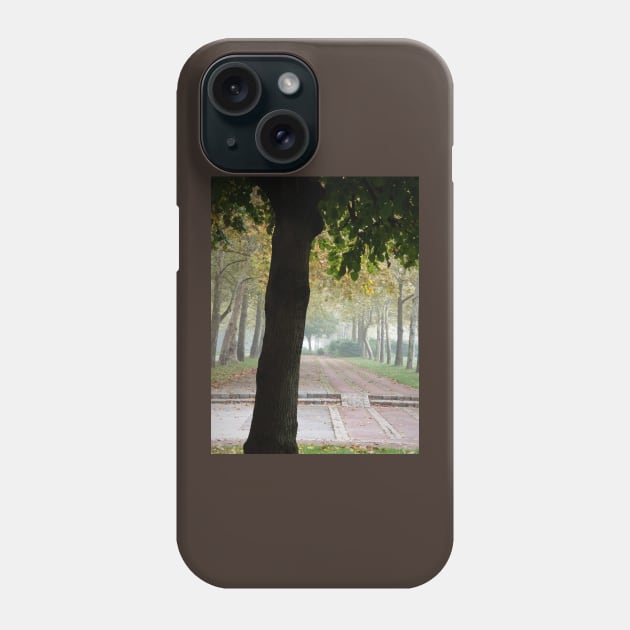 A park on a foggy autumn day Phone Case by TiiaVissak