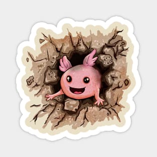 Axolotl in a Wall Hole Magnet