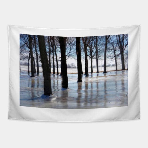 Midwest Bayou Tapestry by bgaynor