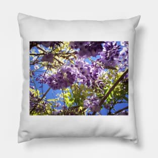 Summer Days Pillow