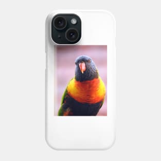 Rainbow Lorikeet Phone Case