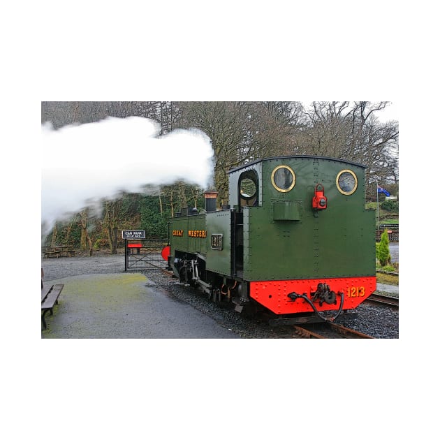 Steam Up at Devil's Bridge, February 2020 by RedHillDigital