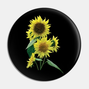 Sunflowers - Group of Sunflowers Pin