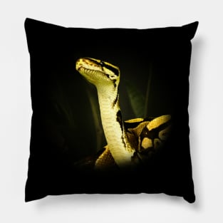 Python Pillow