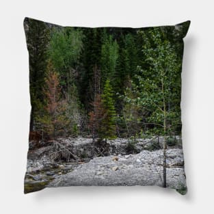 Mountain hike. Pillow