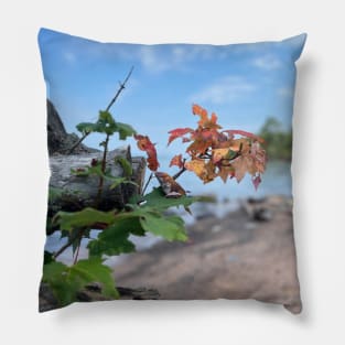 Changing of the seasons on the shores of Lake Superior Pillow