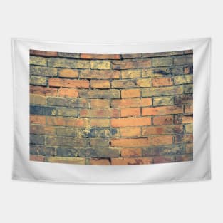 Old brick wall with cracks and scratches. Brick wall background. Distressed wall with broken bricks texture. House facade Tapestry