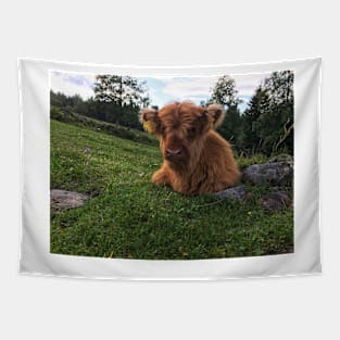 Scottish Highland Cattle Calf 1798 Tapestry