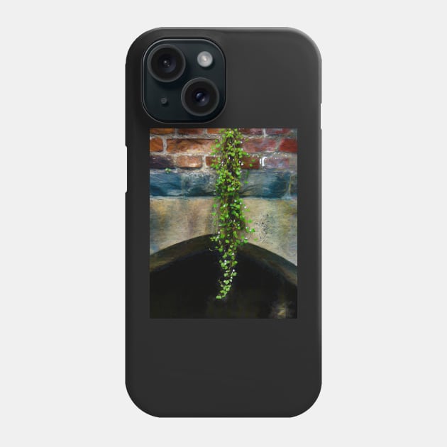 Hanging Down Phone Case by PictureNZ