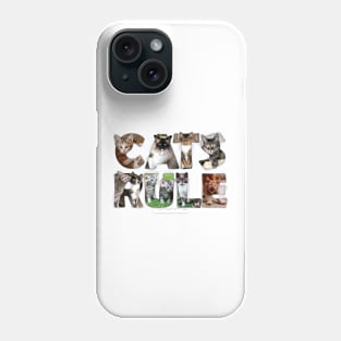 Mixed cat breed oil painting word art Phone Case