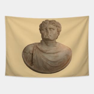 Alexander The Great Shield Portrait Aphrodisias Vector Art Tapestry